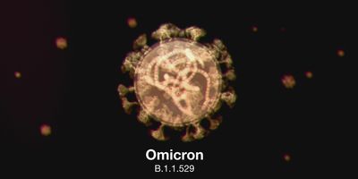 fluorescent image of Omicron coronavirus