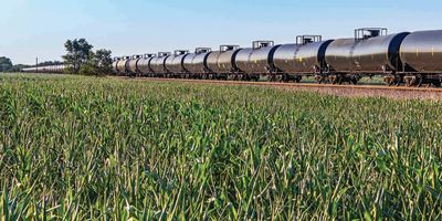 Train rolling past a corn field