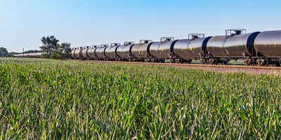 Long unit tank train with lush green corn field in foreground