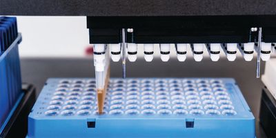 Automated liquid handler dispensing fluid into a microplate