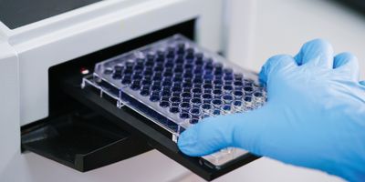 Scientist loads a microplate into a reader