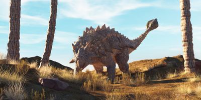 Ankylosaurus on a CG background