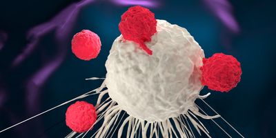 Computer image of CAR-T cells